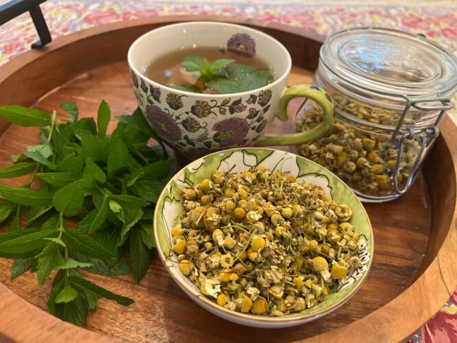 A soothing cup of herbal tea  can begin in your garden